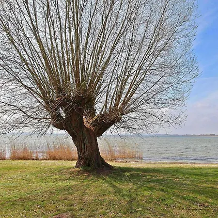 Ferienhaus Verchen Verchen